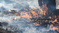 Причиной пожара в «Хоперском госзаповеднике» могли стать стрельбы на авиационном полигоне