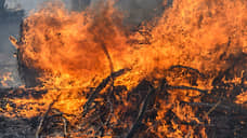 В Воронежской области ликвидирован пожар на 185 га и локализован на 180 га