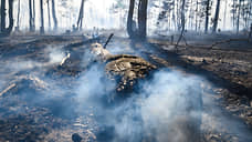 Площадь лесных пожаров в Черноземье с начала года превысила 2 тыс. гектаров