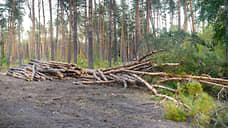 В Воронеже один из собственников земли в «Северном лесу» надеется ее продать за 12 млн рублей