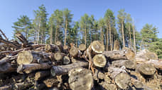 Антимонопольщики нашли нарушения в передаче предпринимателю Льговского леса под Курском