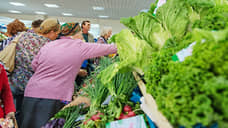 «Елецкие овощи» запускают под Липецком производство салата за 1,3 млпд рублей