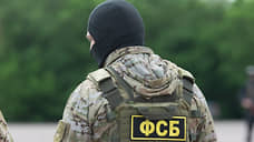На Тамбовщине ФСБ предотвратила теракт, планировавшийся учащимся колледжа