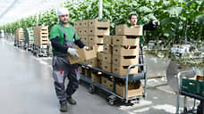«Овощи Черноземья» получат налоговую льготу при строительстве теплиц под Липецком