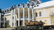 Реконструкцию воронежского кукольного театра проверит замминистра культуры РФ