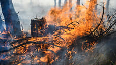 Рослесхоз спрогнозировал возможность весенних пожаров в четырех регионах Черноземья