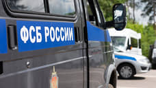 ФСБ раскрыла в Воронеже ячейку сторонников молодежной экстремистской группы