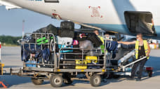 В воронежском аэропорту с 1 апреля возобновятся международные рейсы