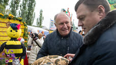 Выборы мэра Котовска в Тамбовской области отложили на конец мая