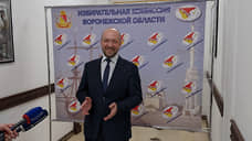 Илья Иванов возглавил избирком Воронежской области