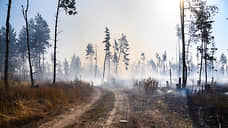 За майские выходные в Черноземье произошел один лесной пожар