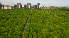 Концепцию застройки яблоневых садов в Воронеже представят на форуме «Зодчество ВРН»