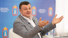 Доходы тамбовского губернатора за год выросли на 1 млн рублей