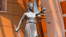 В Липецке в суд поступило дело о попытке хищения денег у руководства «Свободного сокола»