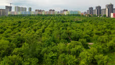 На 54 га яблоневых садов в Воронеже появится 740 тыс. кв. м жилья