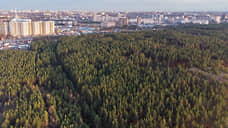 Эффективное управление лесным хозяйством отмечено только в Белгородской и Липецкой областях