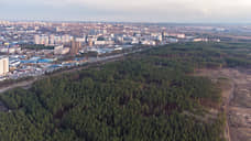 Дублер Московского проспекта в Воронеже может пройти через Северный лес