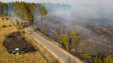 Подготовка к пожароопасному периоду началась в Воронежской области