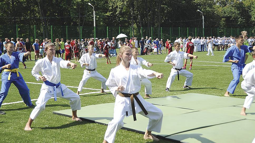 Сегодня в Курской области более 2000 спортивных объектов

