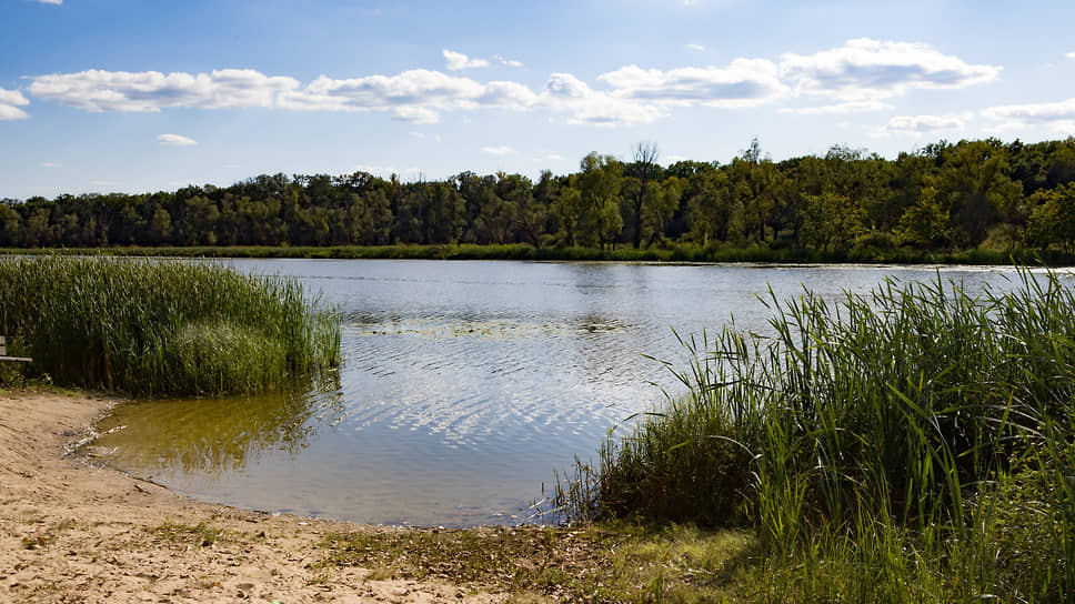 Одно из самых красивых озер Хоперского заповедника — озеро Большое Голое, первый объект на экотропе.