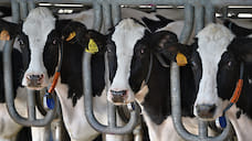 В Первомайском районе Ярославской области построят молочно-товарную ферму на 2400 голов