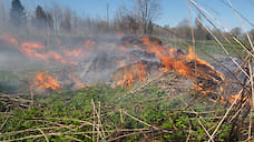 Сотни пожарных в Ярославской области тушат подожженную траву