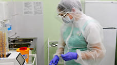 В Ярославской области за сутки не выявлено новых случаев коронавируса