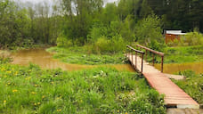 В Ярославской области подтопило садовое товарищество