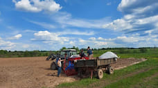 В Ярославской области возрождают льноводство