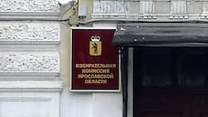 В Ярославской области началось голосование по поправкам в Конституцию