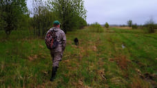 В Ярославской области открылся сезон охоты на пернатую дичь