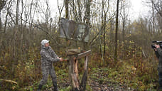 В ярославских лесах уничтожают браконьерские солонцы