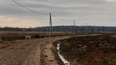 В деревне под Ярославлем 200 семей бесплатно получили земельные участки