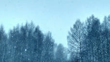 МЧС экстренно предупредило ярославцев о мокром снеге и сильном ветре