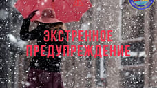 МЧС экстренно предупредило ярославцев о ветре и мокром снеге