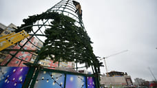 В Ярославле начали устанавливать новогодние елки