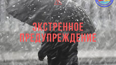 Ярославское МЧС предупредило о мокром снеге и сильном ветре
