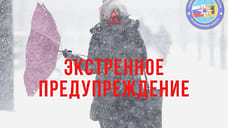 МЧС в Ярославле экстренно предупредило о мокром снеге и сильном ветре
