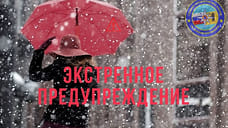 В Ярославской области МЧС выпустило экстренное предупреждение о метели