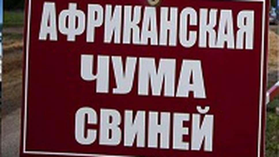 Фото с сайта управления Россельхознадзора по Ярославской области