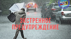 Ярославское МЧС предупредило о сильном ветре 6 апреля