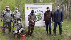 В Ярославской области высадят 260 тысяч деревьев во время акции «Сад памяти»