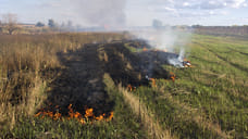 В Ярославской области начались поджоги травы