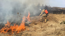 В Ярославской области произошло еще 78 поджогов сухой травы