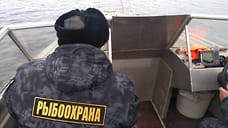 В Ярославской области введен запрет на рыбалку