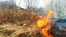 В Ярославской области пожарные спасли деревню от огня