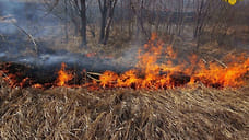 Еще 135 поджогов сухой травы произошло в Ярославской области