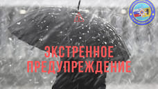 МЧС предупреждает ярославцев о мокром снеге с сильным ветром