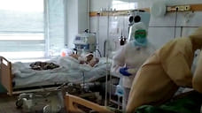 В Ярославской области еще два человека умерли от коронавируса и 83 заболели