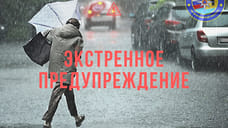 МЧС предупредило ярославцев о сильном ветре до вечера 26 апреля